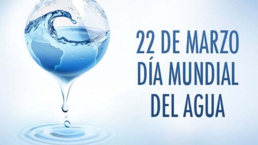 Día Mundial del Agua